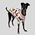PIJAMA DE GALGO ITALIANO MUSIC - Imagem 7