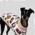 PIJAMA DE GALGO ITALIANO MUSIC - Imagem 8