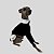 VESTIDO DE GALGO ITALIANO DONA POA - Imagem 10