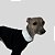 VESTIDO DE GALGO ITALIANO DONA POA - Imagem 4