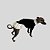 VESTIDO DE GALGO ITALIANO DONA POA - Imagem 5