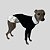 VESTIDO DE GALGO ITALIANO DONA POA - Imagem 1