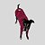 BLUSA DE GALGO LÃZINHA PINK - Imagem 7
