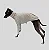 CACHARREL DE GALGO CANELADA LINE AREIA - Imagem 4