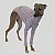 CACHARREL DE GALGO CANELADA LINE ROSA E AZUL - Imagem 5