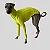 CACHARREL DE GALGO CANELADA VERDE NEON - Imagem 1
