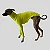 CACHARREL DE GALGO CANELADA VERDE NEON - Imagem 4