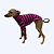 CACHARREL DE GALGO LISTRAS FUCSIA - Imagem 1