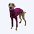 CACHARREL DE GALGO LISTRAS FUCSIA - Imagem 4