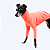 CACHARREL DE GALGO MESH CORAL - Imagem 2