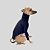 CACHARREL DE GALGO MESH NIGHT - Imagem 4