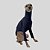 CACHARREL DE GALGO MESH NIGHT - Imagem 2