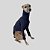 CACHARREL DE GALGO MESH NIGHT - Imagem 8