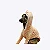 CACHARREL DE GALGO SORVETE - Imagem 2
