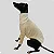 CACHARREL DE GALGO SUE LINE CARAMELO - Imagem 3