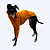 CACHARREL DE GALGO SUE MOSTARDA - Imagem 4
