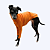 CACHARREL DE GALGO SUE MOSTARDA - Imagem 5