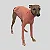 CACHARREL DE GALGO SUE ROSE - Imagem 3