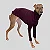 CACHARREL DE GALGO SUE WINE - Imagem 1