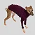 CACHARREL DE GALGO SUE WINE - Imagem 2