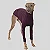 CACHARREL DE GALGO SUE WINE - Imagem 3