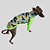 CACHARREL DE GALGO UV CAMU GREEN - Imagem 9