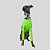 CACHARREL DE GALGO UV CAMU GREEN - Imagem 10