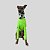 CACHARREL DE GALGO UV CAMU GREEN - Imagem 11