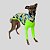 CACHARREL DE GALGO UV CAMU GREEN - Imagem 3