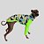 CACHARREL DE GALGO UV CAMU GREEN - Imagem 1
