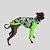 CACHARREL DE GALGO UV CAMU GREEN - Imagem 4