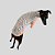 CACHARREL DE GALGO UV DELICATE - Imagem 9