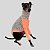 CACHARREL DE GALGO UV DELICATE - Imagem 2