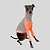CACHARREL DE GALGO UV DELICATE - Imagem 10