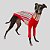 CACHARREL DE GALGO UV LISTRA VERMELHA - Imagem 9