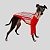 CACHARREL DE GALGO UV LISTRA VERMELHA - Imagem 10