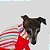 CACHARREL DE GALGO UV LISTRA VERMELHA - Imagem 12