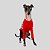 CACHARREL DE GALGO UV LISTRA VERMELHA - Imagem 2