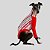 CACHARREL DE GALGO UV LISTRA VERMELHA - Imagem 5