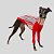 CACHARREL DE GALGO UV LISTRA VERMELHA - Imagem 1