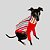 CACHARREL DE GALGO UV LISTRA VERMELHA - Imagem 13