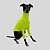 CACHARREL DE GALGO UV POPSTAR AMARELO NEON - Imagem 10