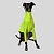 CACHARREL DE GALGO UV POPSTAR AMARELO NEON - Imagem 4