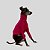 CACHARREL DE GALGO UV POPSTAR FUCSIA - Imagem 3