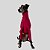 CACHARREL DE GALGO UV POPSTAR FUCSIA - Imagem 2