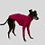 CACHARREL DE GALGO UV POPSTAR FUCSIA - Imagem 5