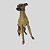 CACHARREL DE GALGO UV POPSTAR GOLD - Imagem 9