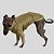 CACHARREL DE GALGO UV POPSTAR GOLD - Imagem 5