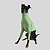 CACHARREL DE GALGO UV POPSTAR MENTA - Imagem 4