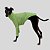 CACHARREL DE GALGO UV POPSTAR MENTA - Imagem 6